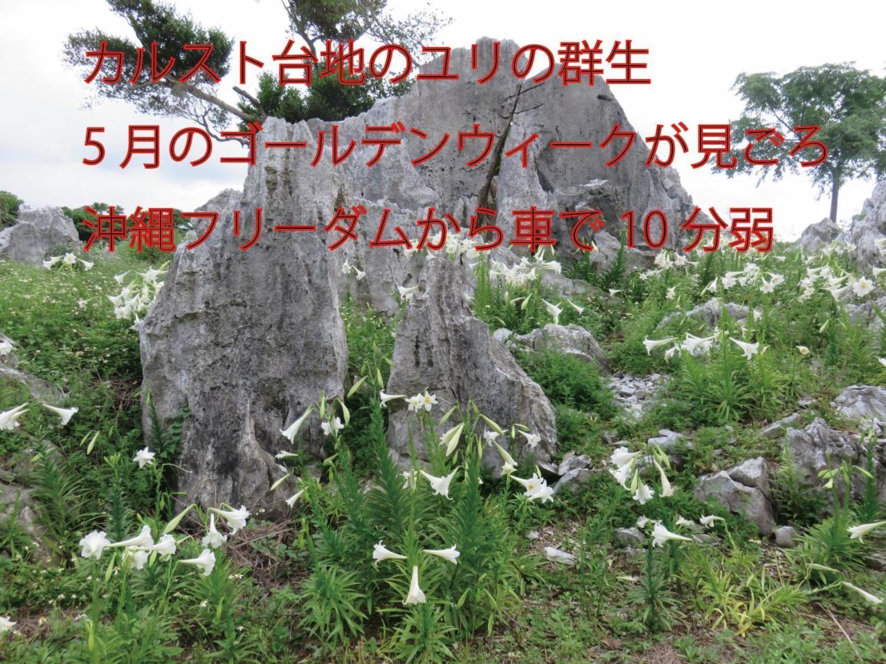 Okinawa Freedom Villa Nakijin Exterior foto